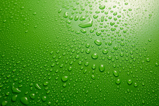 A large group of water drops on green Surface illuminated by the sun.