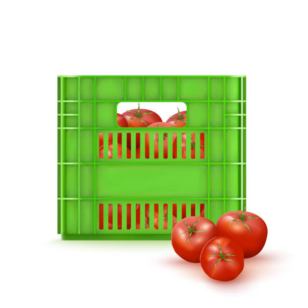 Crate With Tomatos 3d Green Plastic Crate And  Red Tomatos. Realistic Vector Illustration Isolated On White. Front View tomato cages stock illustrations