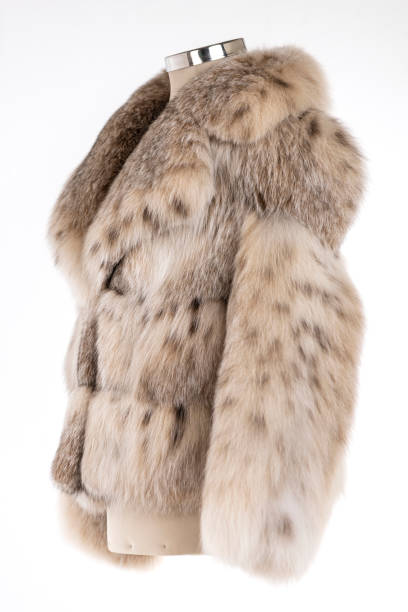 istock Expensive fur coats collection on a mannequin. 1402858769