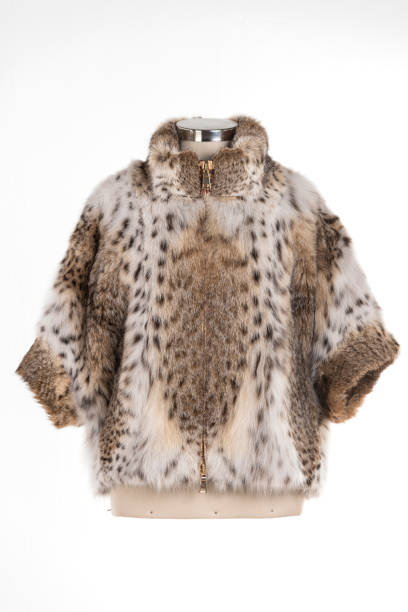 istock Expensive fur coats collection on a mannequin. 1402858887