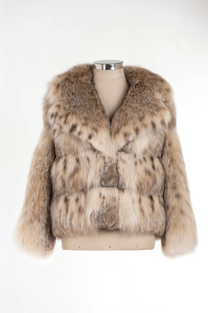 istock Expensive fur coats collection on a mannequin. 1402858976