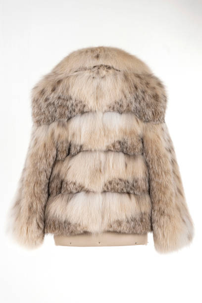 istock Expensive fur coats collection on a mannequin. 1402859224