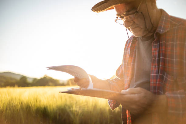 istock This is a very fruitful year, my wheat field is beautiful 1402859503