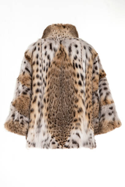 istock Expensive fur coats collection on a mannequin. 1402859506