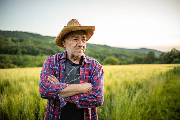 istock This is a very fruitful year, my wheat field is beautiful 1402859692