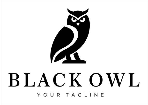 illustrazioni stock, clip art, cartoni animati e icone di tendenza di gufo nero - owl