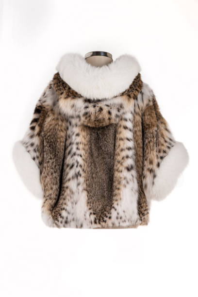 istock Expensive fur coats collection on a mannequin. 1402860888