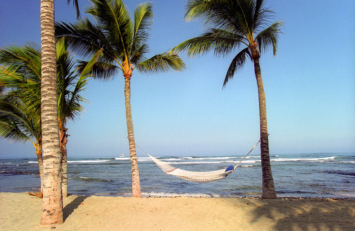 Film photograph of a hammock tied between two palm trees in front of the ocean on a tropical beach.