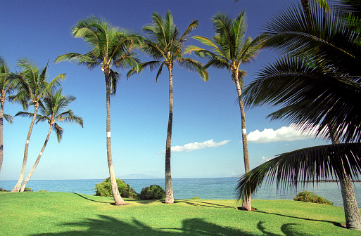Lanikai Coastline with Houses, Palm Trees and Mokulua Islands, O in Kailua, Hawaii, United States