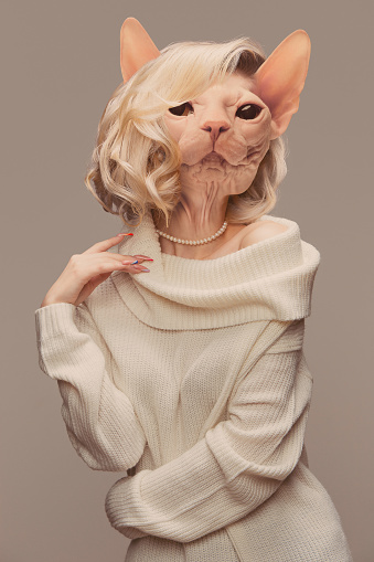 Lady. Elegant female model wearing in retro style outfit headed by sphinx cat head isolated on grey background. Comparison of art, surrealism, beauty and creativity, ad. Contemporary collage.