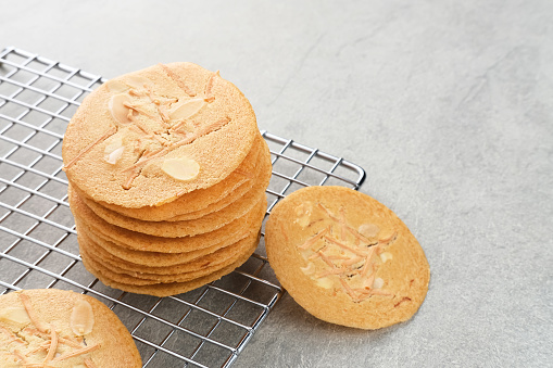 shortbread round biscuit isolated on white. extreme close up