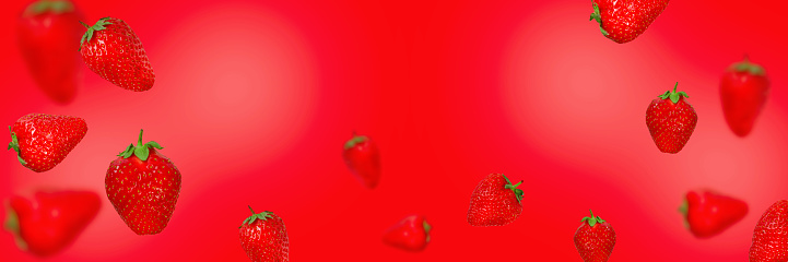 Ripe strawberries levitating on a red background. Banner