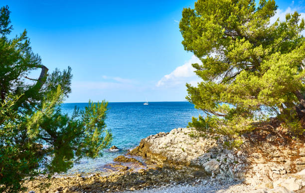 istock Lone Bay next to Rovinj in Istria 1402868920