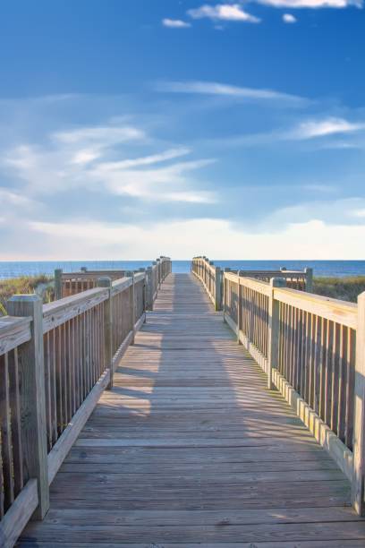 istock Boardwalk to the beach-Myrtle Beach, South Carolina 1402869395