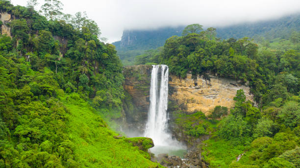 istock Waterfall among tropical jungle. Sri Lanka. 1402870035