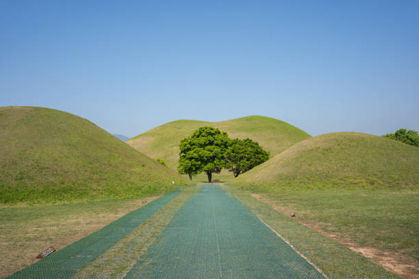 istock Gyeongju Daereungwon Outlying Tree 1402872578