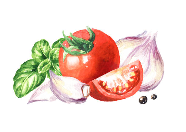 istock Fresh vegetables. Cherry tomatoes with basil and garlic. Hand drawn watercolor illustration, isolated on white background 1402873295