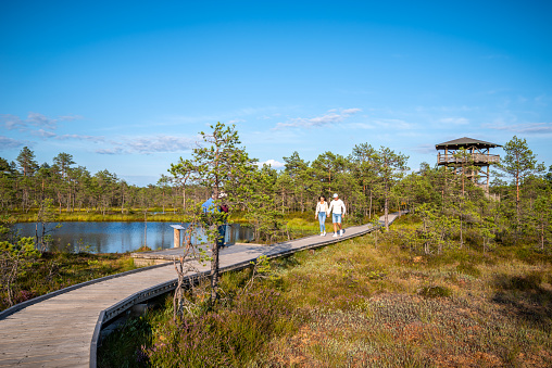 Harju County, Lahemaa National Park, Estonia - August 5, 2019: Couple hiking on a wooden boardwalk in Lahemaa National Park in Estonia on summer. Viru Bog is one of the most accessible bogs in the country and the trail passes through marsh landscapes which are very common in Lahemaa National Park