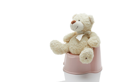 Toy bear on a children's pot isolated on white background. The concept accustom the child to the potty