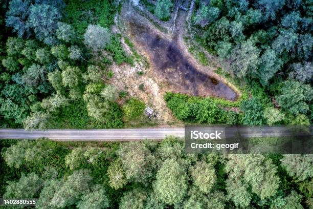 Abstract Aerial View Of Forest Path Between Trees Next To Pond Stock Photo - Download Image Now