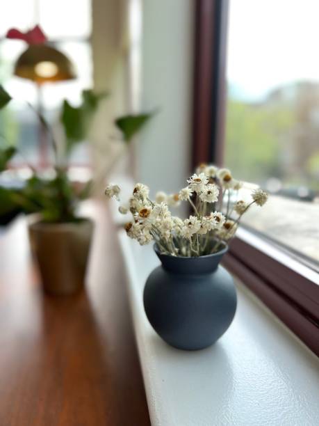 istock Dried Chamomile Flowers in Vase 1402882223