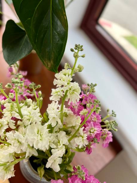 istock Beautiful Cut Stock Flowers 1402882243