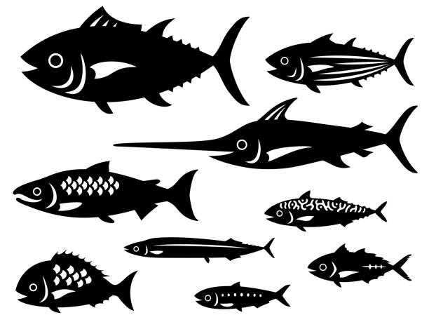 ilustrações de stock, clip art, desenhos animados e ícones de illustration set of various fish silhouettes - tuna silhouette fish saltwater fish