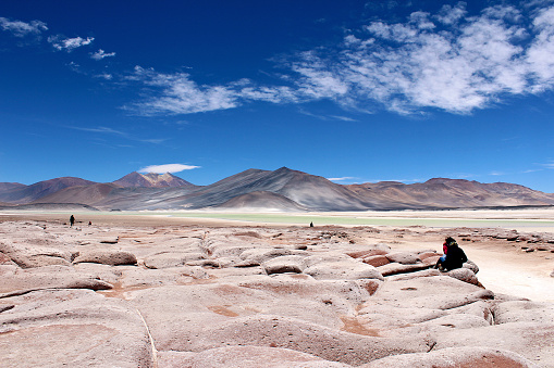 Salar Piedras Rojas (Red Rocks Salt Lake), salt lagunas and volcanos on the Atacama desert, Chile, South America.