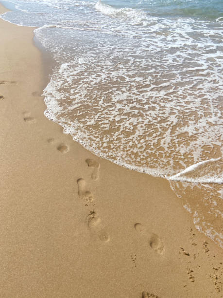 istock Footprints on the sand at the beach 1402883403