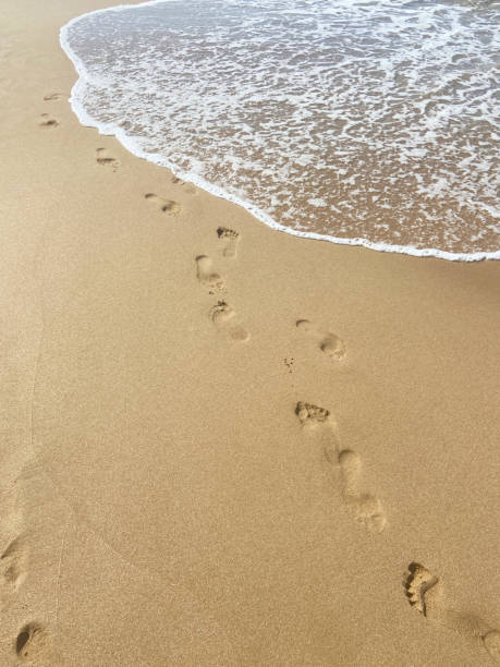 istock Footprints on the sand at the beach 1402883450