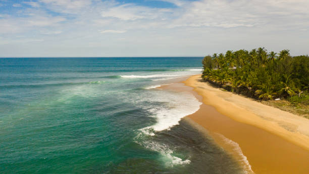 lying over a beautiful sandy beach and a blue ocean. Sri Lanka. stock photo