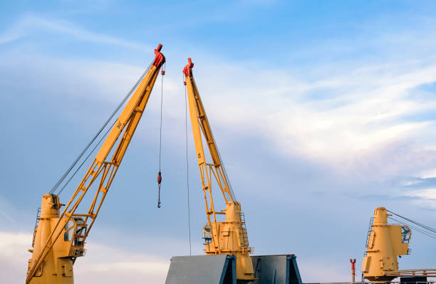 several cranes together