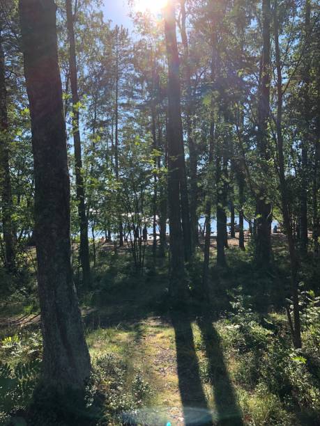 Lauttasaari Island, Helsinki, Finland