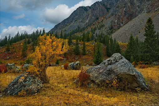 Russia. South of Western Siberia, the Altai Mountains. Single huge fragments of rocks that fell from the tops of inaccessible mountains, in a colorful autumn frame.