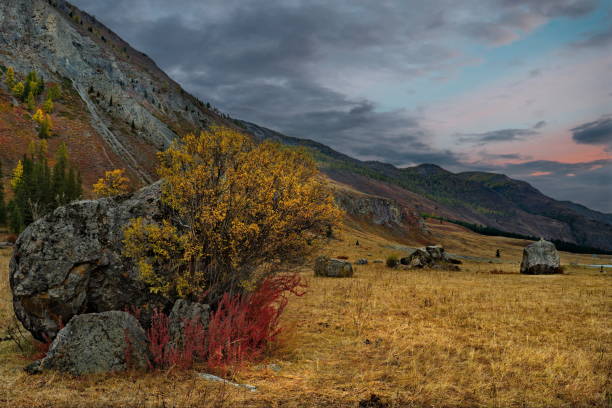 istock Rainbow colors of autumn Altai 1402891669