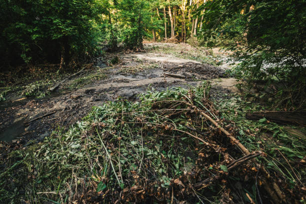 istock Road after a flood. Disaster concept. 1402893022