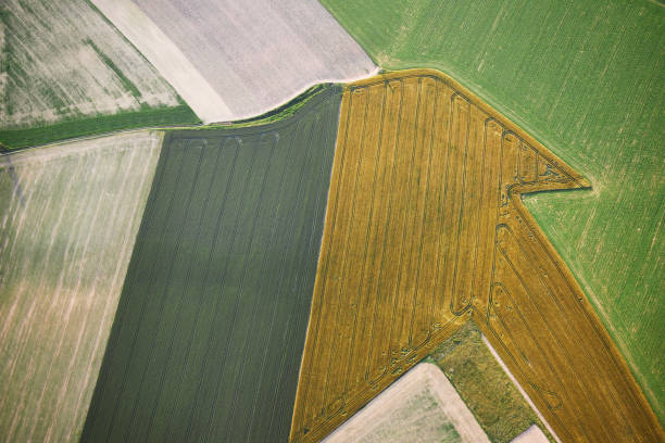 istock Agricultural landscape with different crops 