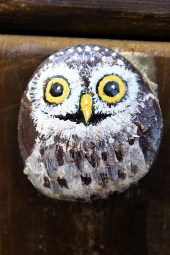 Painting of an owl on a stone.