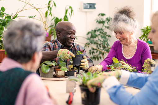 Two smiling retired pensioners are tending to the potted plants on a table, in the foreground  and out of focus more ladies are helping