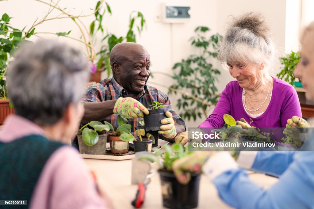 Smiling pensioners are enjoying looking after the potted plants Two smiling retired pensioners are tending to the potted plants on a table, in the foreground  and out of focus more ladies are helping Nursing Home Stock Photo