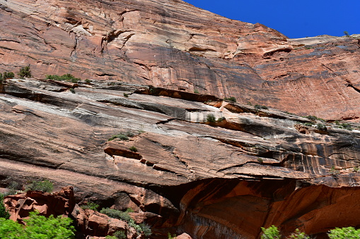 The natural beauty of the red rocks