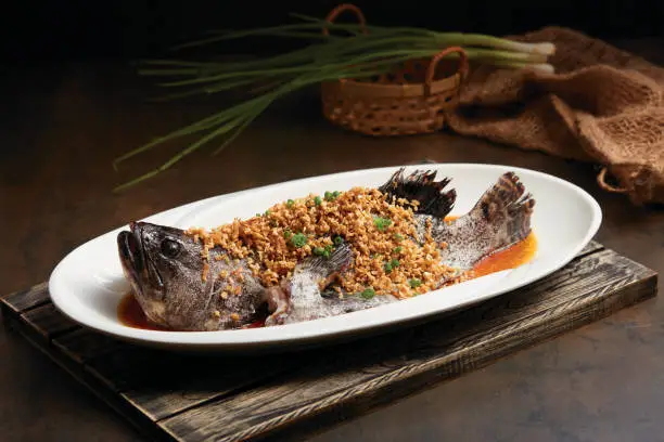 Steamed Dragon Tiger Grouper fish with Preserved Turnip served in a dish side view on dark background