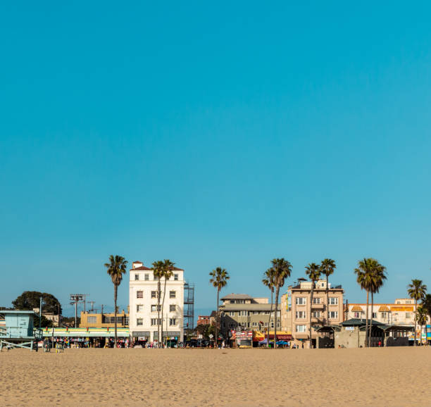 strand von venedig im sommer. - santa monica beach city of los angeles california stock-fotos und bilder