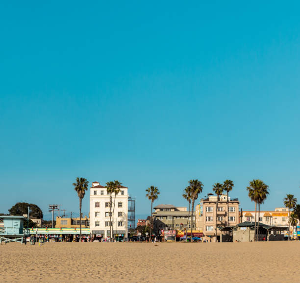 wenecka plaża latem. - santa monica santa monica beach beach california zdjęcia i obrazy z banku zdjęć