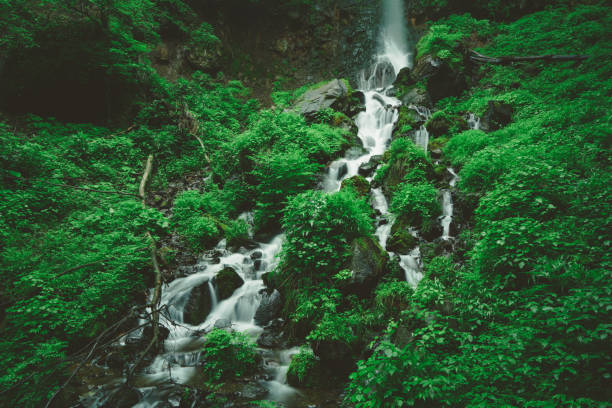 Fall and stream, Karuizawa Japan