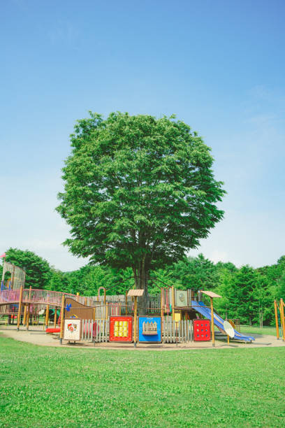 Public Suburban Children park playground