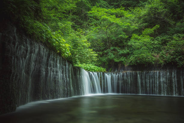 istock Fall and stream, Karuizawa Japan 1402910619