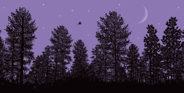 Free Stock Photo of Starry Night Sky With Tree Silhouettes | Download ...