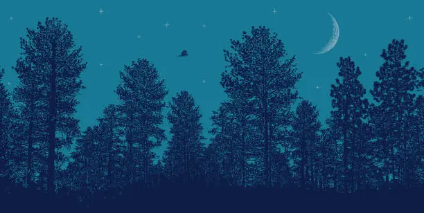 Vector illustration of Night sky Pine trees, moon and stars