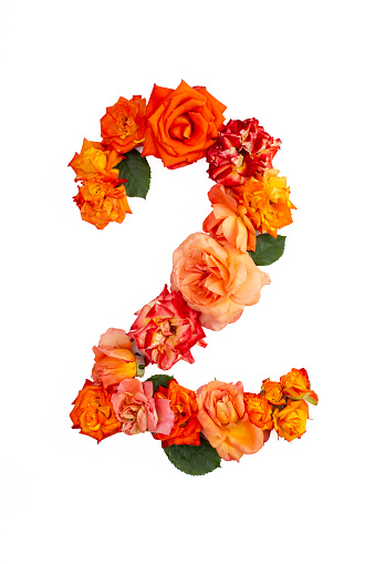 Number two made with real red orange roses, isolated on white background.